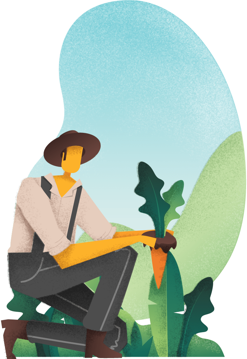 IFSA R&D Illustration